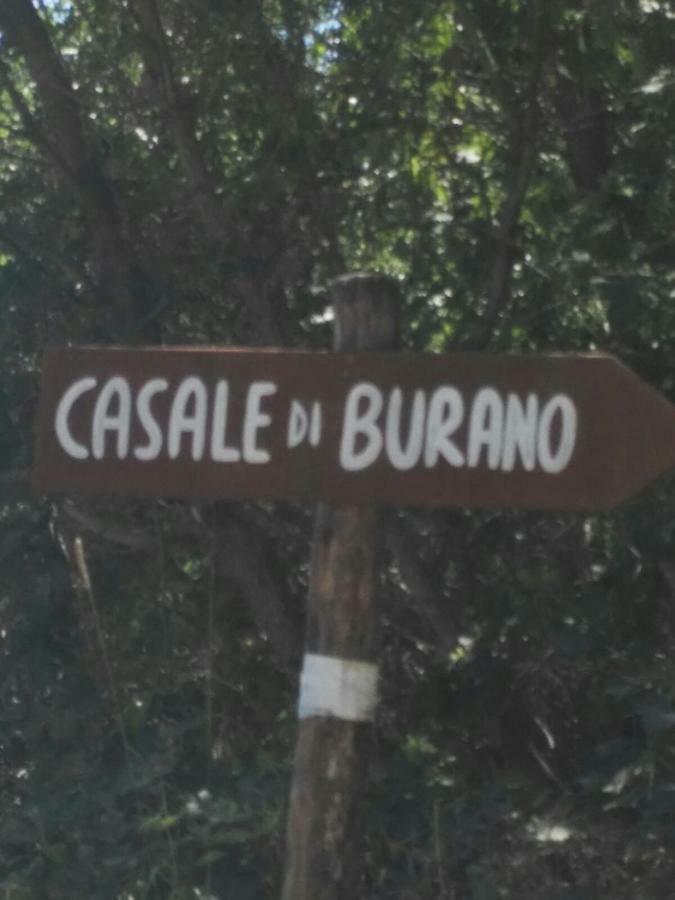 Apartamento Casale Di Burano Onano Exterior foto